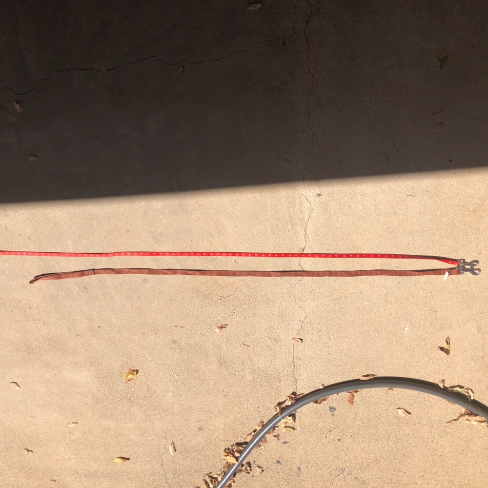 2 dog leashes & dog collar
